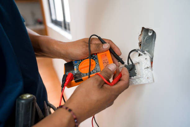 Best Electric Panel Repair  in Robesonia, PA