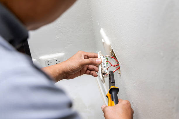 Best Licensed Electrician  in Robesonia, PA